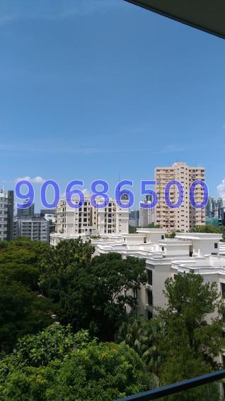 Three Three Robin (D10), Apartment #73164012